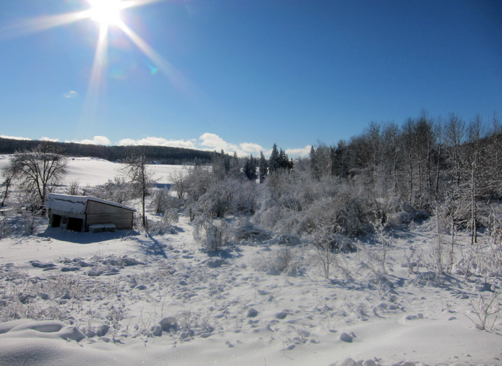 Snow Field